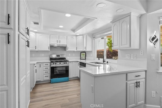 kitchen featuring visible vents, a tray ceiling, a peninsula, a sink, and stainless steel appliances