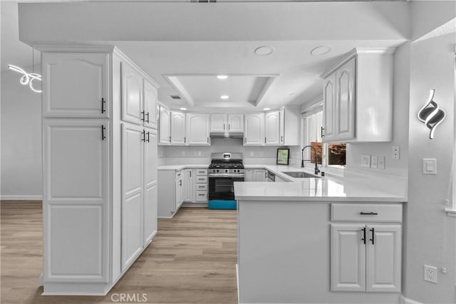 kitchen featuring light wood finished floors, a peninsula, stainless steel gas stove, a raised ceiling, and a sink