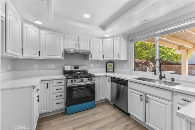 kitchen with a tray ceiling, a sink, stainless steel appliances, white cabinets, and under cabinet range hood