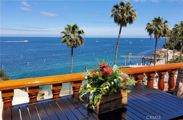 dock area with a water view