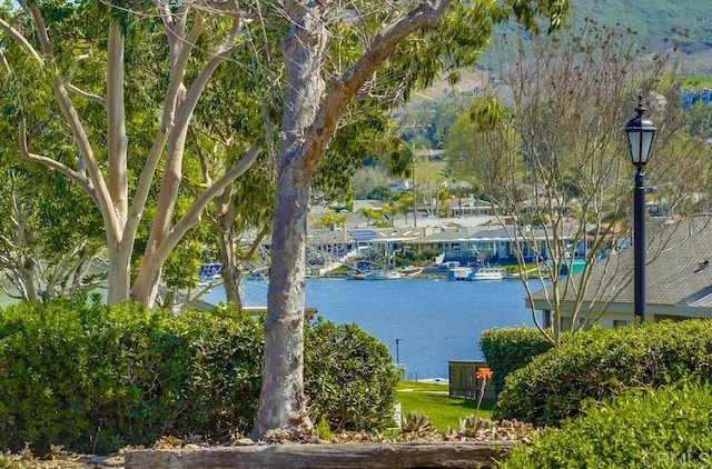 view of water feature