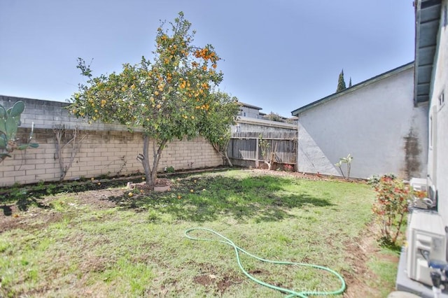 view of yard featuring a fenced backyard