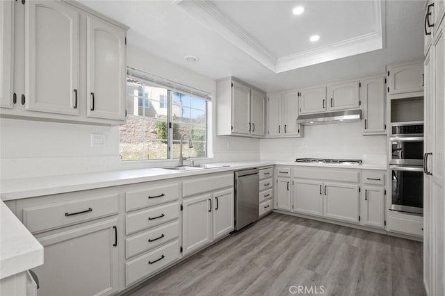 kitchen featuring light wood-style flooring, under cabinet range hood, stainless steel appliances, a sink, and a tray ceiling