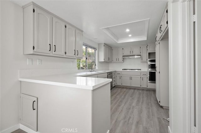 kitchen featuring appliances with stainless steel finishes, a peninsula, a tray ceiling, light countertops, and light wood-type flooring