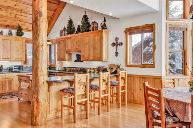 kitchen featuring lofted ceiling, light wood finished floors, a breakfast bar area, and wainscoting