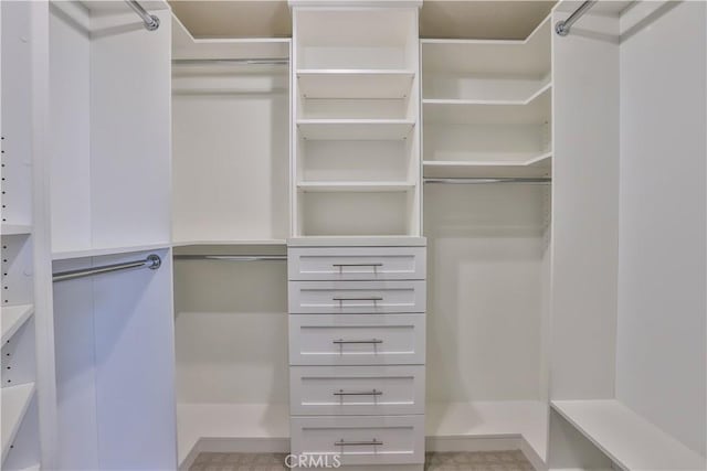 view of spacious closet