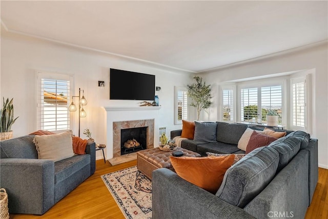 living room with light wood-style floors and a high end fireplace