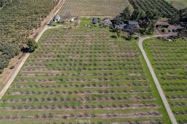 bird's eye view featuring a rural view