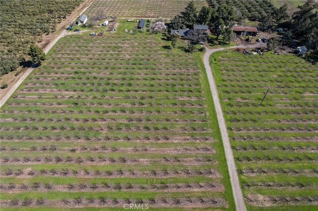 4760 County Rd 99 W, Orland, CA 96963 - view of rural area featuring rows of crops