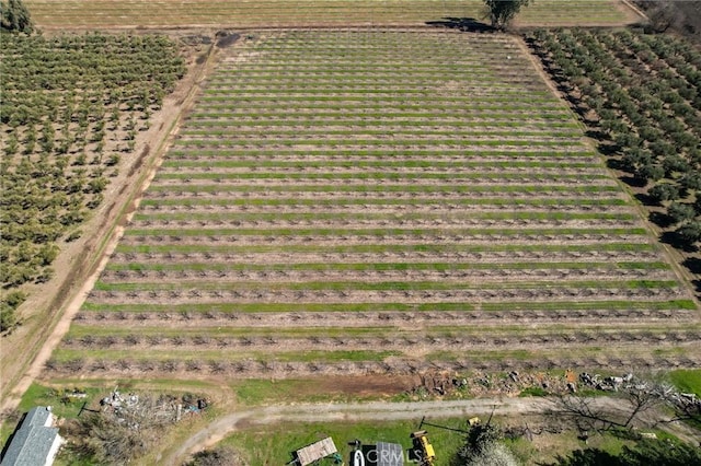 birds eye view of property with a rural view