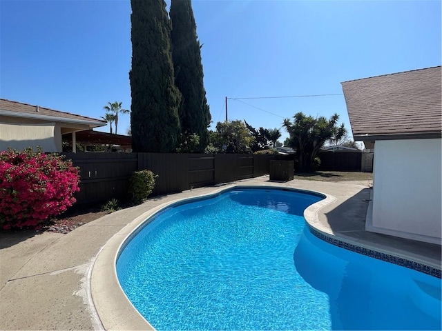 view of pool featuring a patio area, a fenced backyard, and a fenced in pool