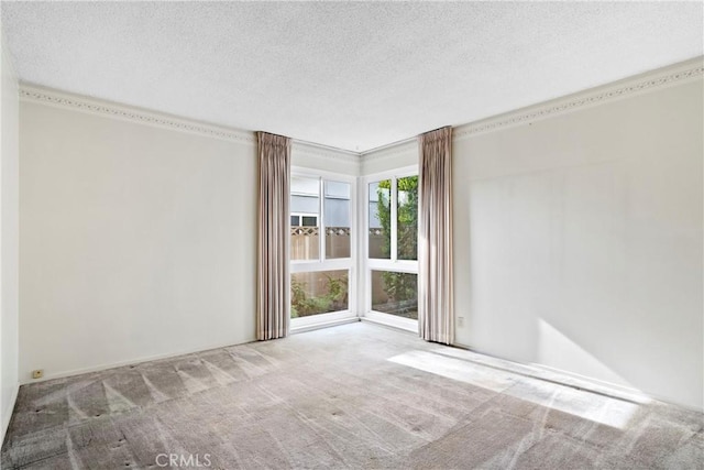 empty room with a textured ceiling and carpet floors