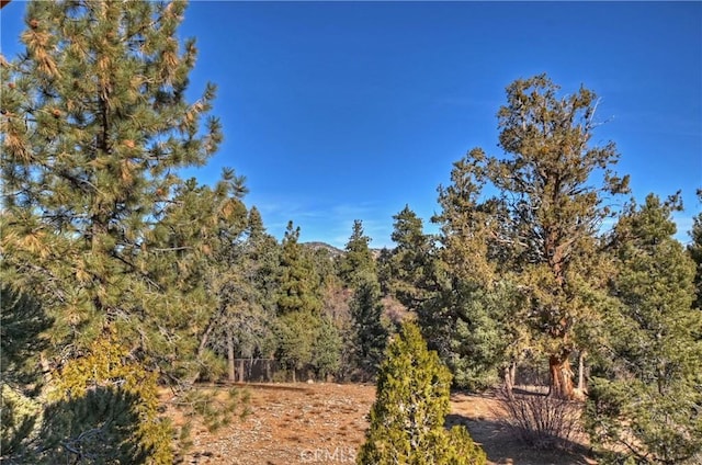 view of nature featuring a wooded view