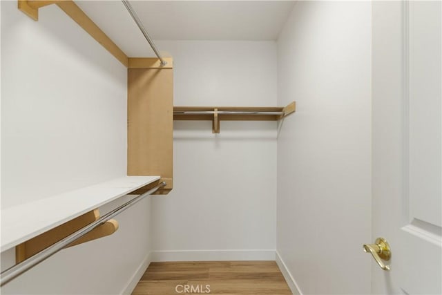 walk in closet with light wood finished floors