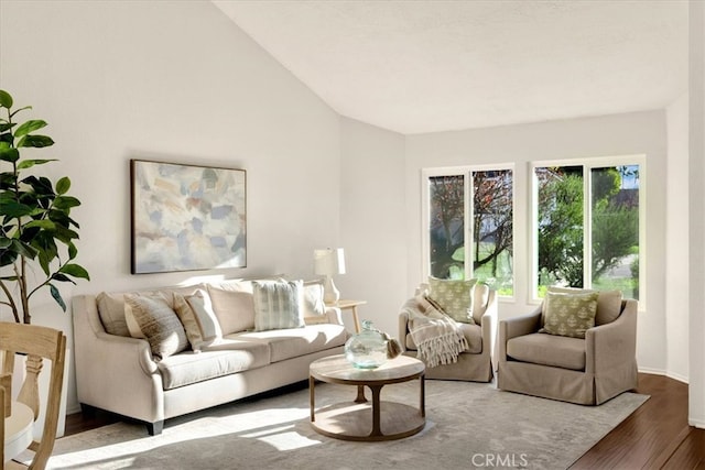 living area with lofted ceiling and wood finished floors