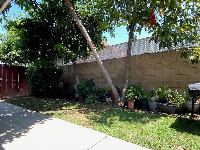 view of yard with a patio and a fenced backyard