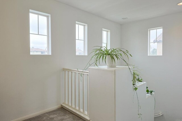 corridor with plenty of natural light, carpet flooring, and baseboards