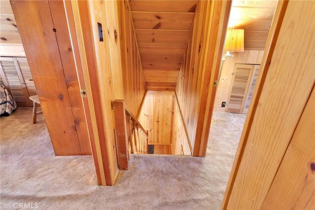 corridor featuring wood ceiling, wood walls, carpet, and an upstairs landing