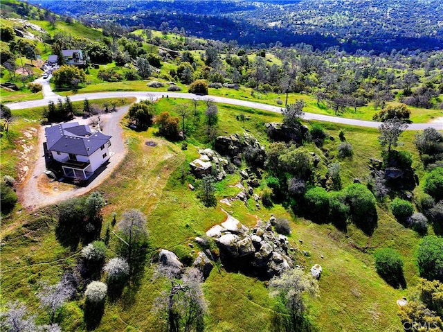 birds eye view of property with a forest view