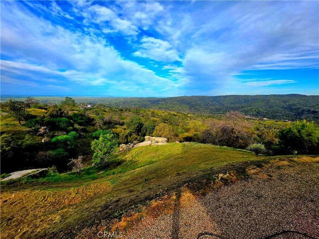 property view of mountains featuring a forest view