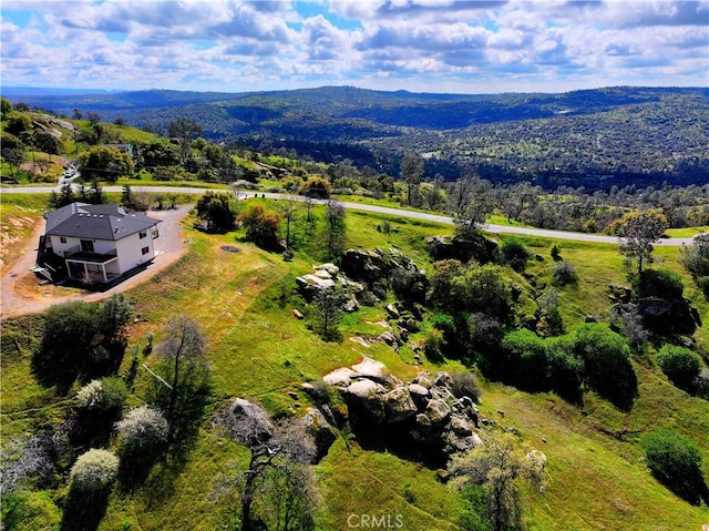 drone / aerial view with a mountain view and a view of trees