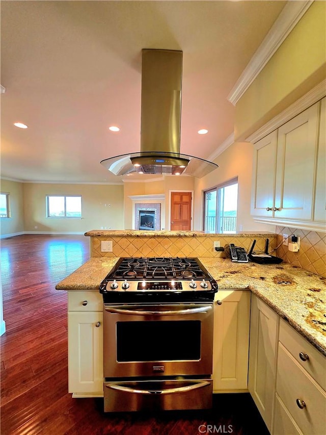 kitchen with ornamental molding, stainless steel range with gas cooktop, a wealth of natural light, and island exhaust hood