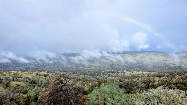 property view of mountains featuring a forest view