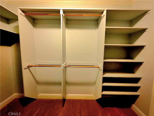 spacious closet featuring carpet