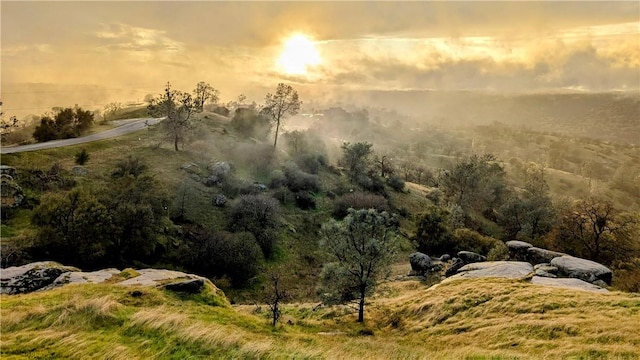 view of nature