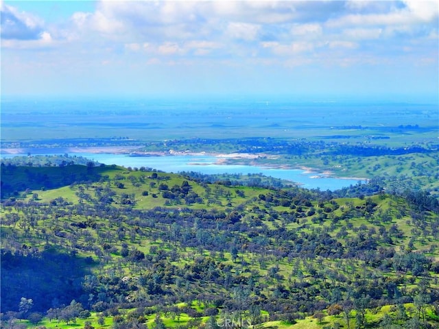 bird's eye view with a water view and a wooded view