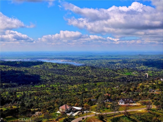 aerial view featuring a view of trees