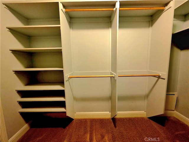 spacious closet featuring carpet flooring