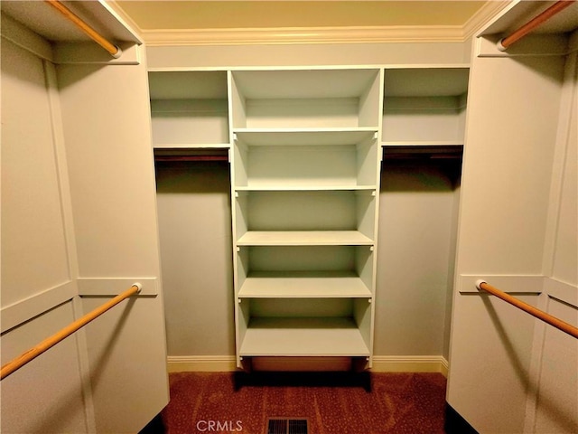 spacious closet with carpet and visible vents