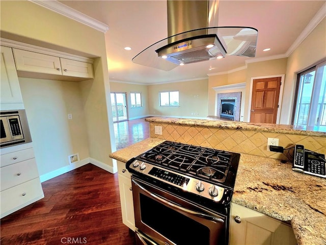 kitchen with tasteful backsplash, island exhaust hood, ornamental molding, and stainless steel appliances