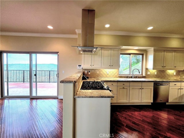 kitchen featuring stainless steel dishwasher, dark wood-style flooring, island exhaust hood, and tasteful backsplash