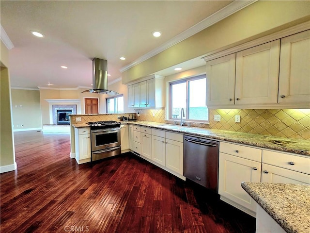 kitchen featuring island range hood, a sink, appliances with stainless steel finishes, dark wood-style floors, and crown molding