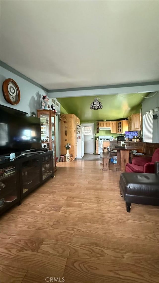 living area featuring light wood finished floors