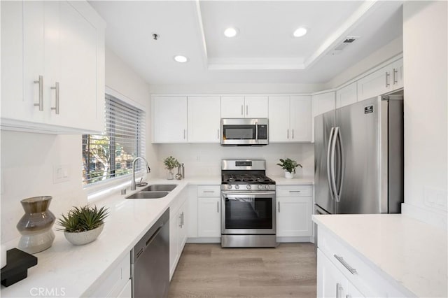 kitchen with white cabinets, a tray ceiling, stainless steel appliances, light countertops, and a sink