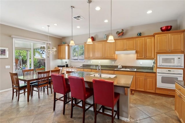 kitchen with visible vents, a healthy amount of sunlight, a sink, white appliances, and under cabinet range hood