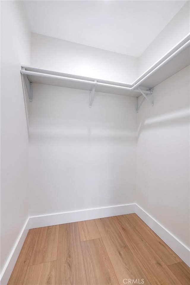 walk in closet with light wood-type flooring