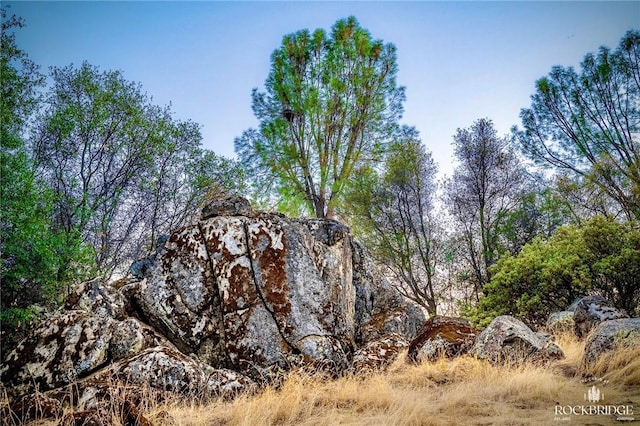 view of nature