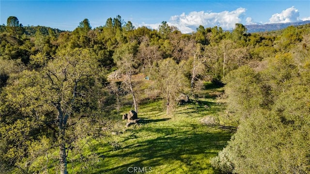 view of local wilderness featuring a wooded view