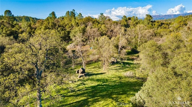 view of local wilderness featuring a view of trees