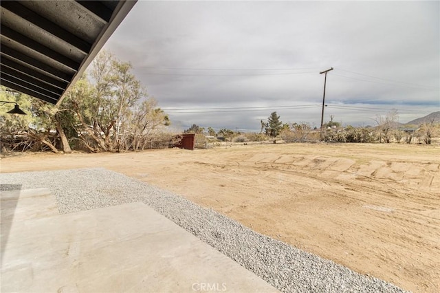 view of yard featuring a patio area