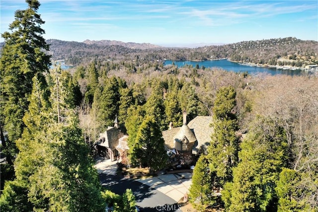 drone / aerial view with a forest view and a water and mountain view