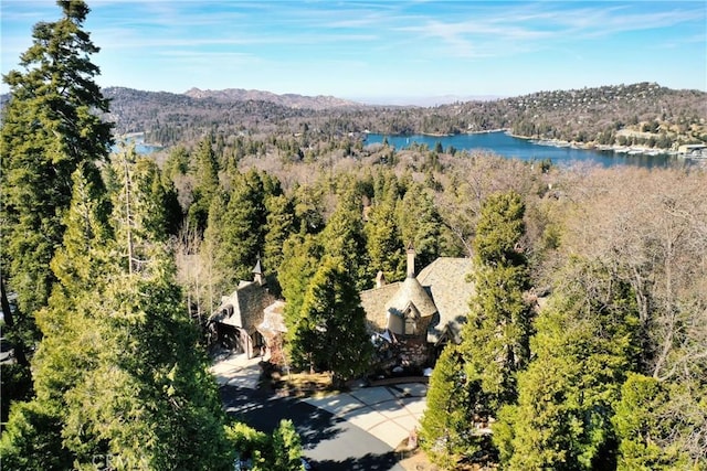 145 Pheasant Run, Lake Arrowhead, CA 92352 - view of subject property with a forest and a water and mountain view