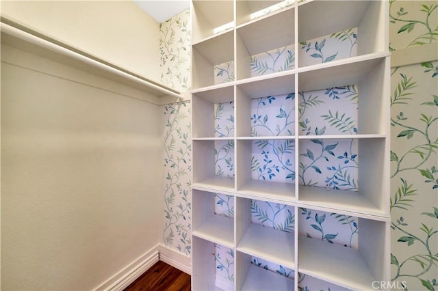 spacious closet with dark wood finished floors