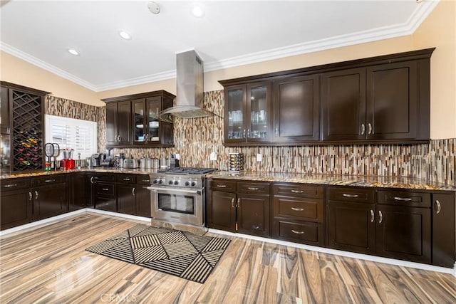kitchen with ventilation hood, light stone countertops, light wood-style flooring, high end stove, and decorative backsplash