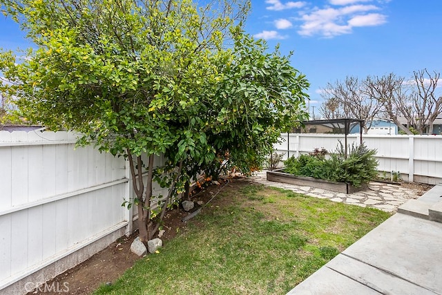 view of yard with a garden and a fenced backyard