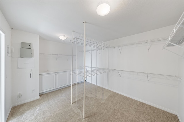 spacious closet featuring light colored carpet